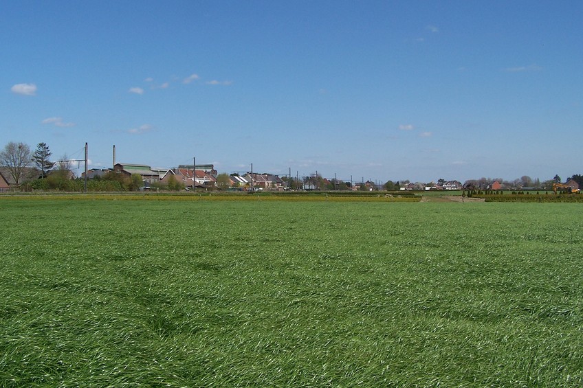 View towards E from the confluence