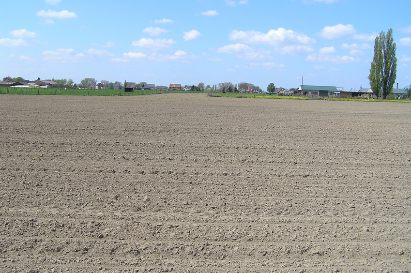 Looking west from the confluence point.