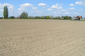 #1: The confluence of 51 North 4 East is 1/3 of the way back from the front center of this photograph, looking southwest.