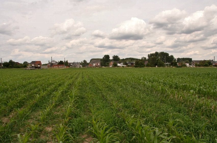 The point and view to the North