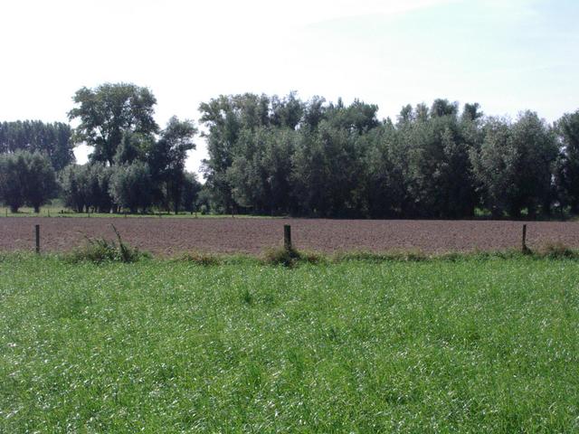 Looking towards the CP from the North, it is on that fence