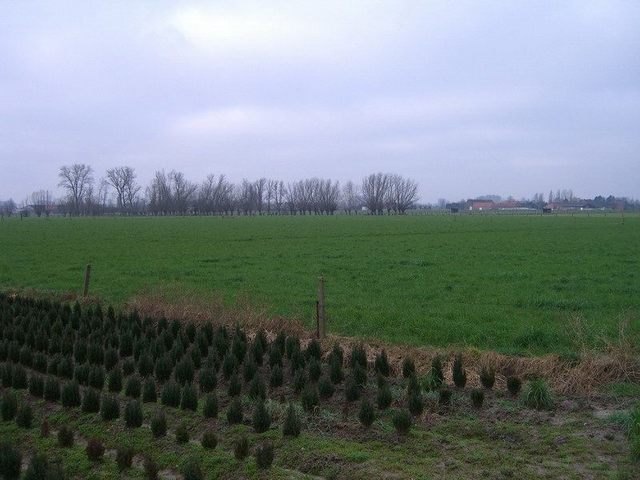 Overview of the confluence area, the point is in the background / Überblick über den Confluence-Punkt, dieser ist im Hintergrund