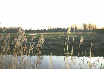 #1: View of the Confluence from the other side of the canal