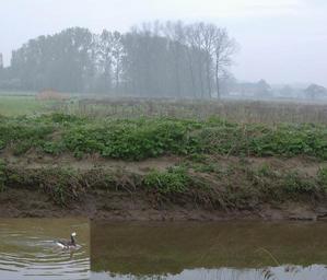 #1: Confluence from NNE across the Demer River