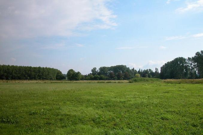 View from the confluence / Blick vom Confluence Punkt