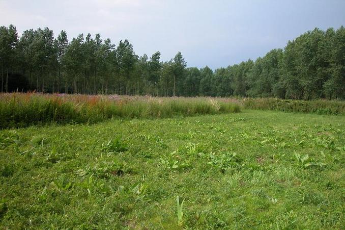 View from the confluence / Blick vom Confluence Punkt