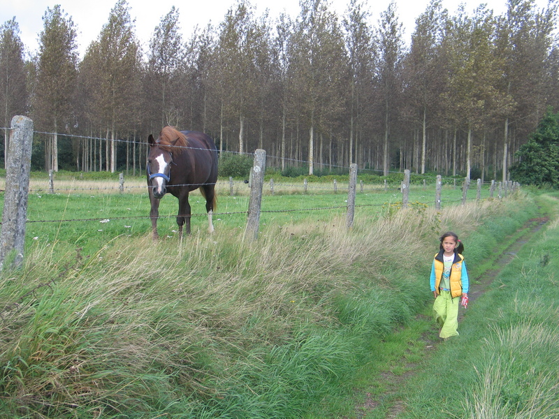 Horse following us.