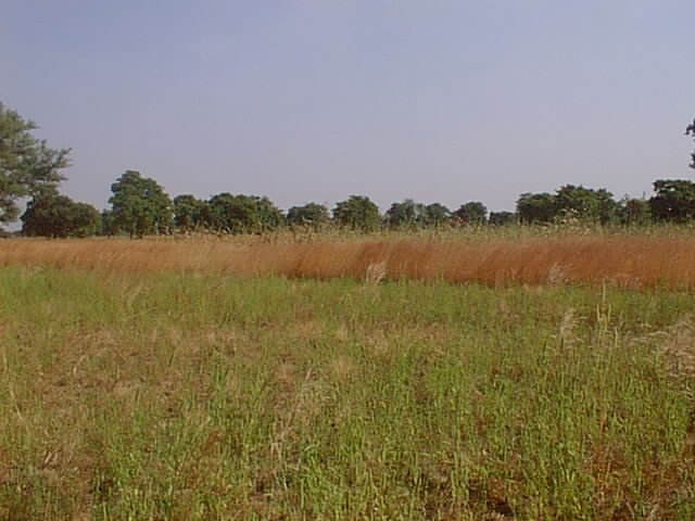 Looking northeast into Burkina Faso