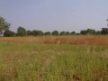 #2: Looking northeast into Burkina Faso