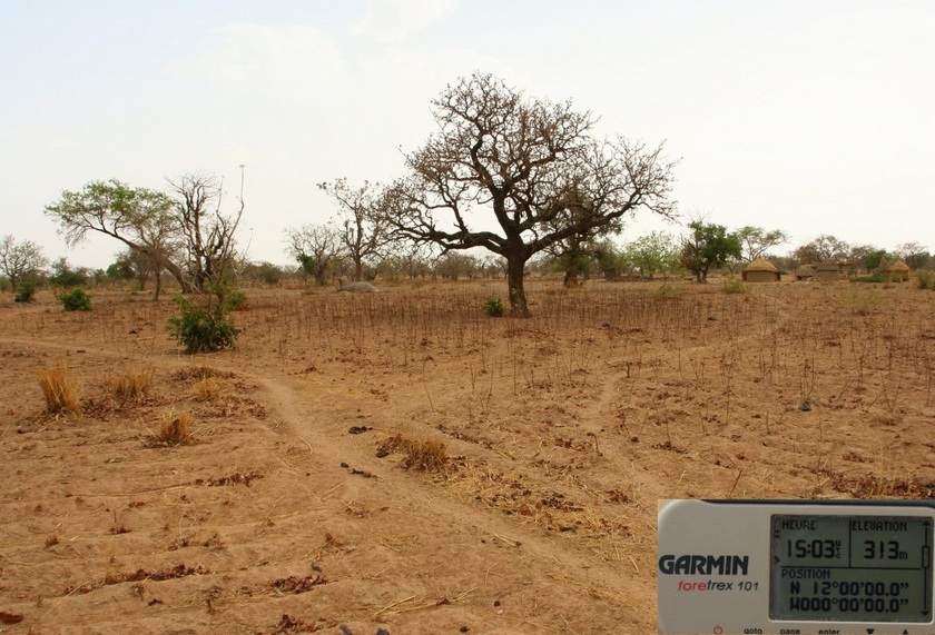 View to the South, coordinates on the GPS, shea tree