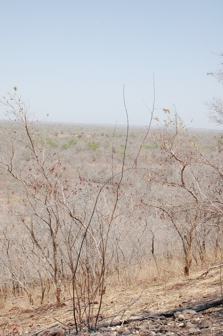 Looking north at 60 m from point, on top.