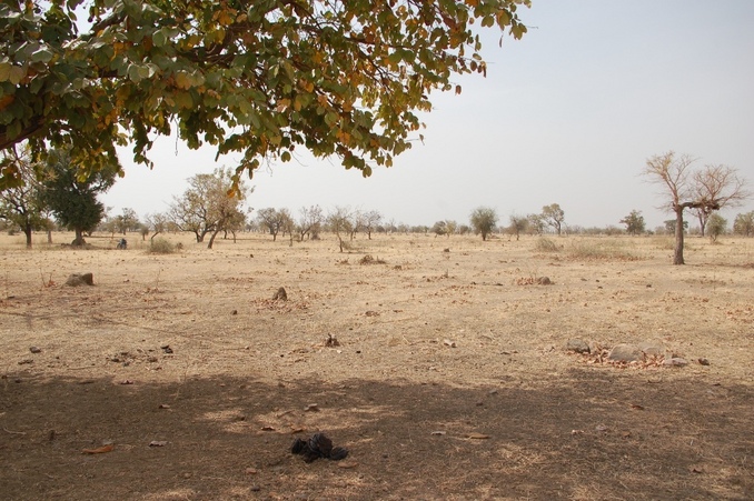 Looking south: The motos are in the left center of the photo