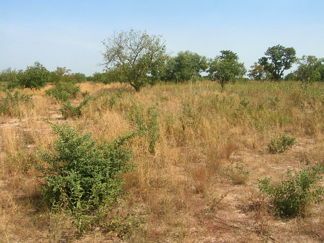 View south from the Confluence