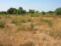 #2: View north from the Confluence