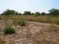 #5: View west from the Confluence