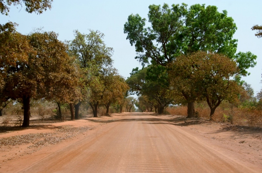 The track from Boromo to Oury