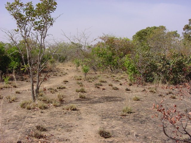 Looking northwest from the Confluence