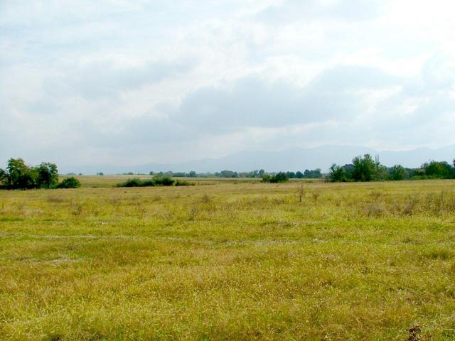 A view from the confluence to the South.