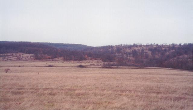 Northern view of confluence area (you can see the sheep)