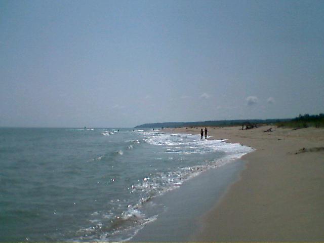 The Beach