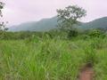 #2: A view of the mountain southwest of the point