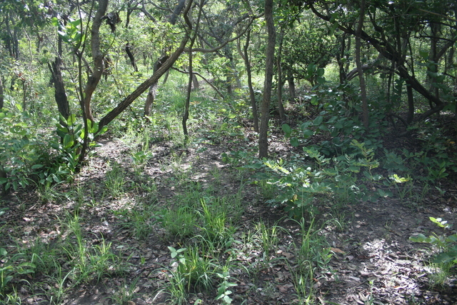 View of the Confluence