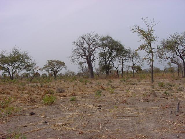 Taken from the confluence point looking northwest