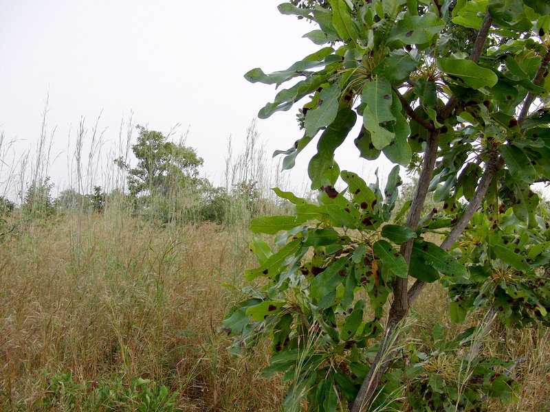 South of the Confluence