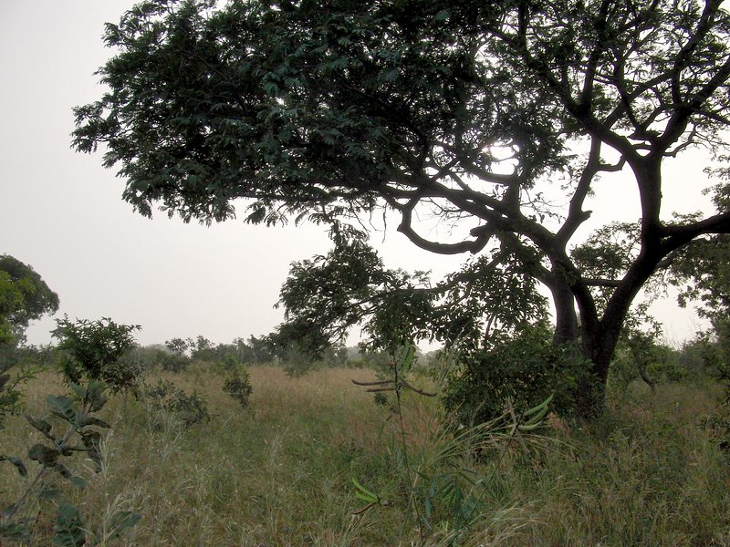 West of the Confluence