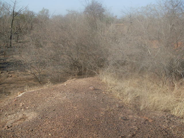 Shot of the Confluence from a few meters back