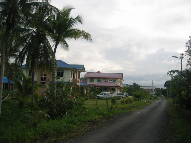 Road nearest to the confluence (110m)