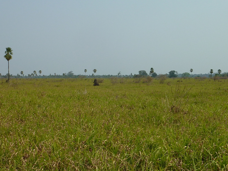 View from the confluence towards the south