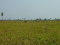 #2: View from the confluence towards the south