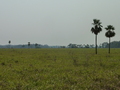 #3: View from the confluence towards the west