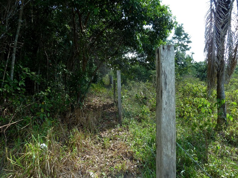 View from the confluence towards the west