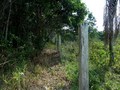 #4: View from the confluence towards the west