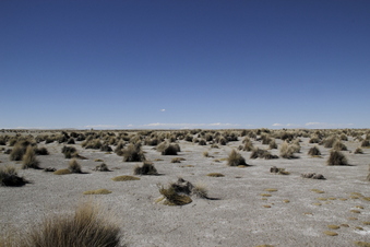 #1: View of the confluence