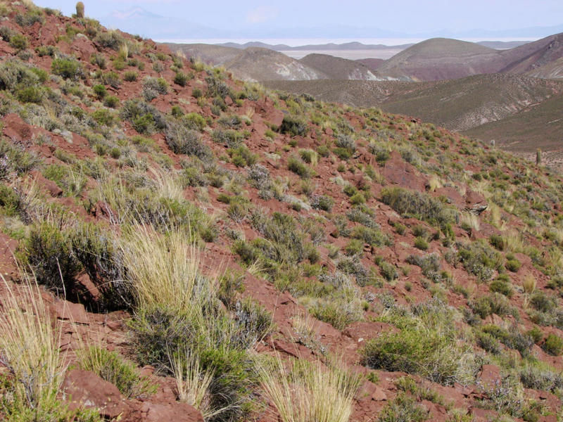 View to the west. The confluence is right in the middle of the image. In the background we can spot the Salar de Uyuni 