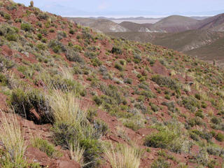 #1: View to the west. The confluence is right in the middle of the image. In the background we can spot the Salar de Uyuni 