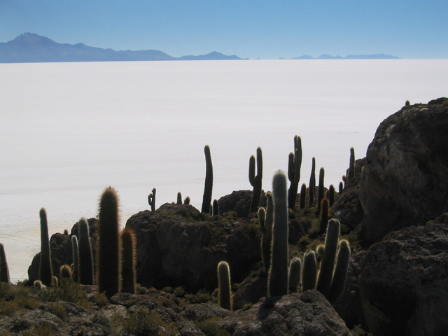 Isla de Pescado (Fish Island)