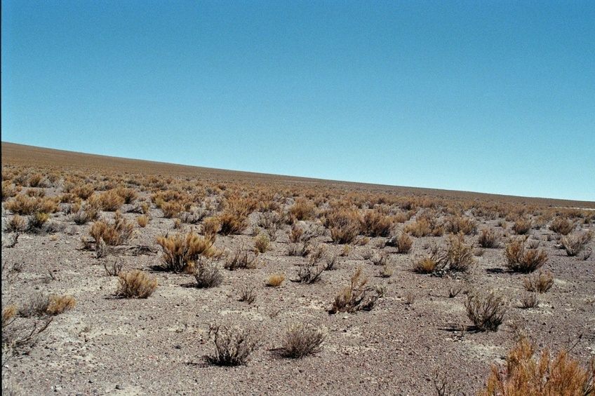 View north of the confluence area