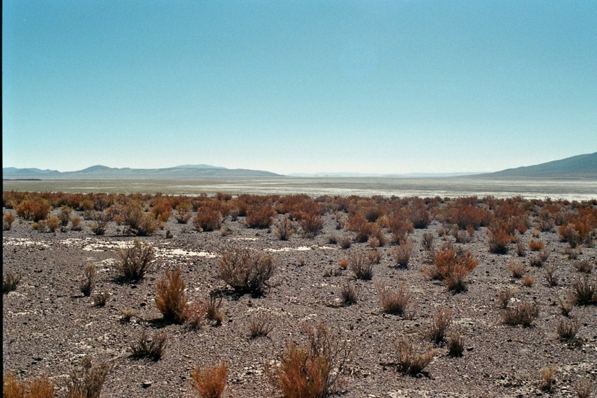 View east of the confluence area