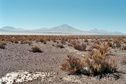 #2: View south of the confluence area