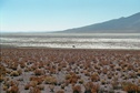 #7: Our car waiting on the salt lake