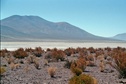 #9: The train to Chile, southeast of the confluence