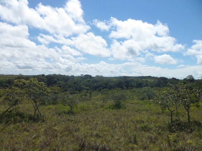 Visão geral - general view