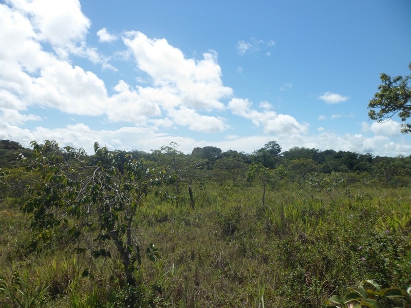 Visão leste - east view