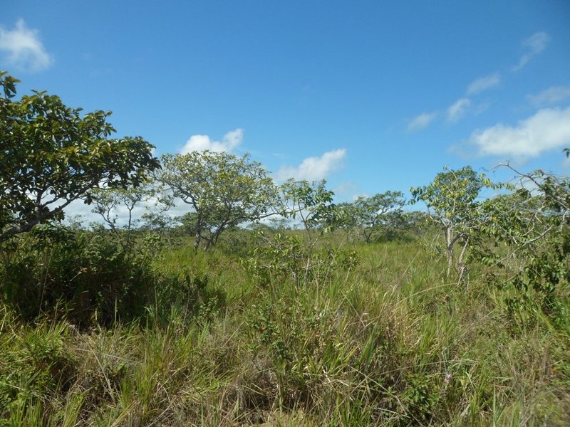 Visão sul - south view