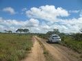 #7: Parei o carro a 124 metros da confluência - I stopped the car 124 meters to the confluence