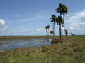 #11: Landscape during our Hike